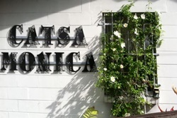 doggy daycare in st augustine