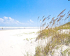 pet friendly vacation rental in saint augustine