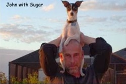 pet daycare in st augustine