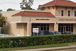 pet daycare in st augustine