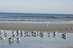 st augustine Beach