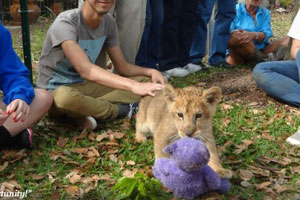 st augustine wildlife reserve