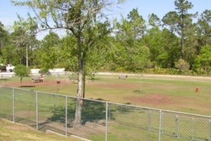 dog park in st augustine